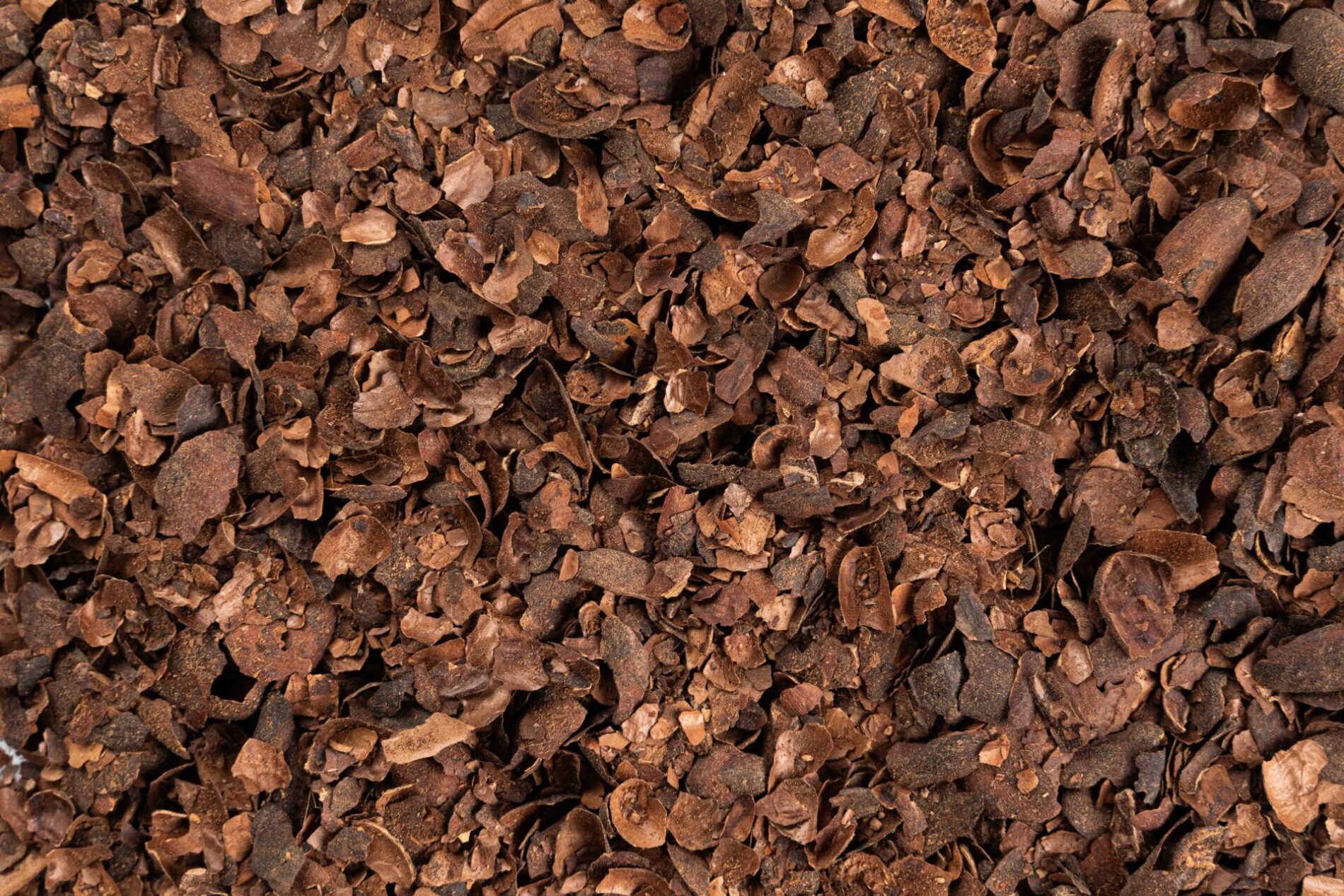 buccette di cacao