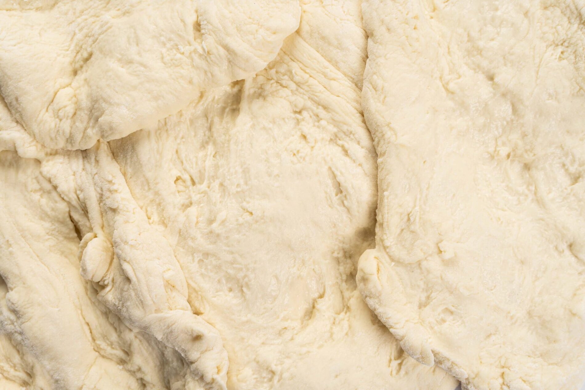 impasto di pizza