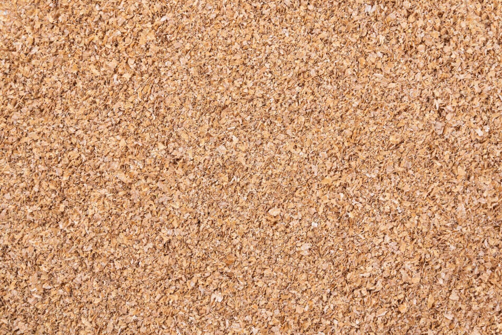 crusca di grano tenero rinfusa